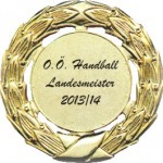 Landesmeister 2014 Medaille